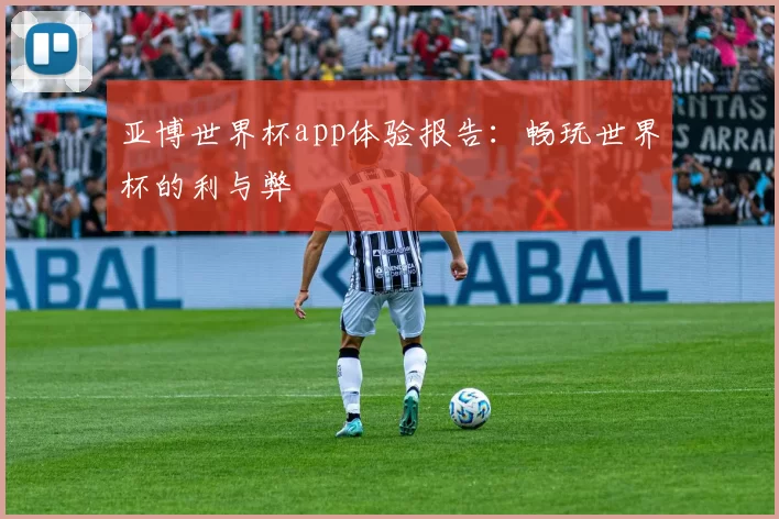 亚博世界杯app体验报告:畅玩世界杯的利与弊