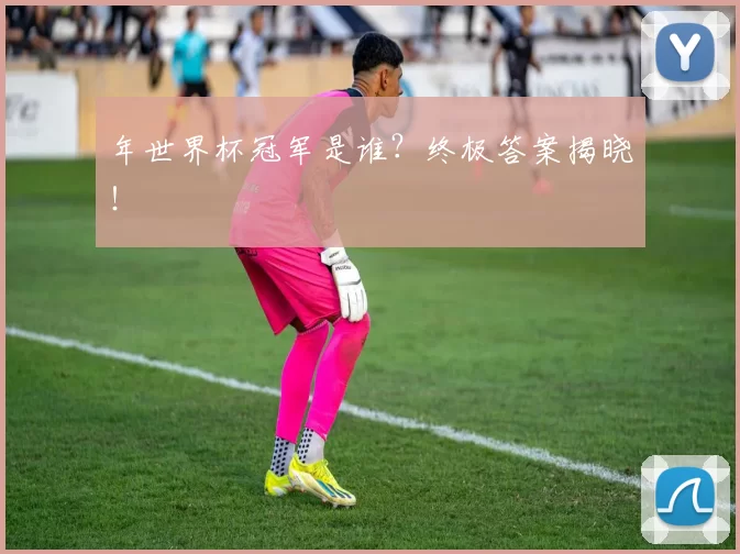 年世界杯冠军是谁？终极答案揭晓！