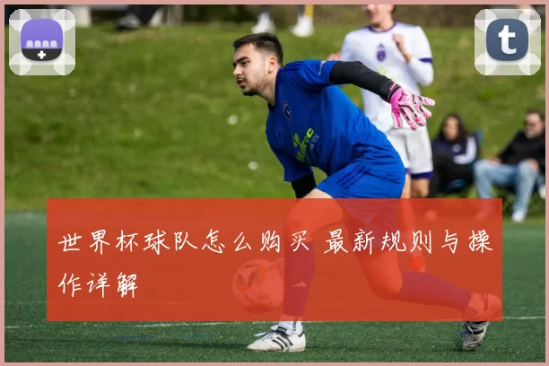 世界杯球队怎么购买 最新规则与操作详解