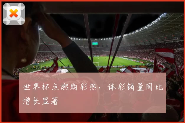 世界杯点燃购彩热,体彩销量同比增长显著