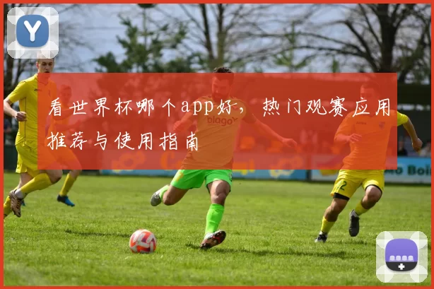 看世界杯哪个app好,热门观赛应用推荐与使用指南