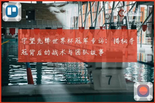 守望先锋世界杯冠军专访:揭秘夺冠背后的战术与团队故事