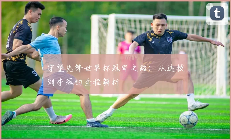守望先锋世界杯冠军之路:从选拔到夺冠的全程解析
