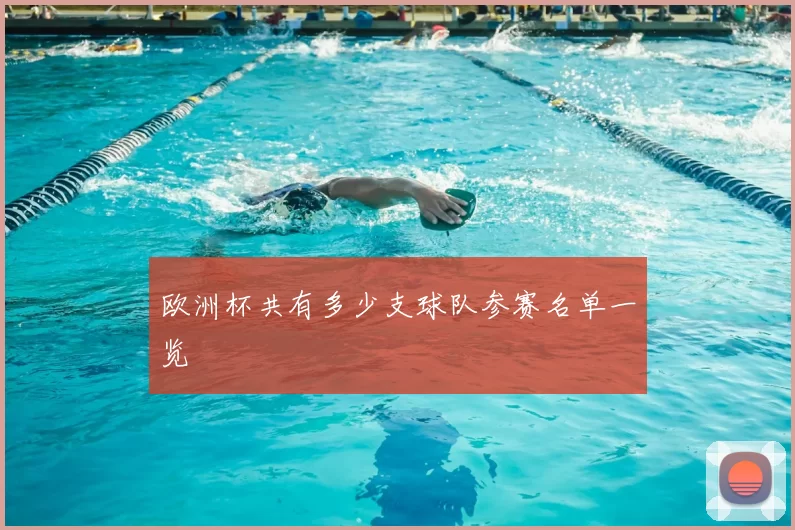 欧洲杯共有多少支球队参赛名单一览