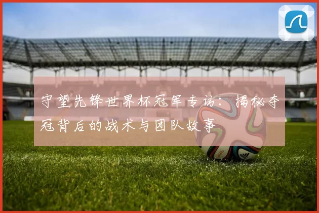 守望先锋世界杯冠军专访:揭秘夺冠背后的战术与团队故事