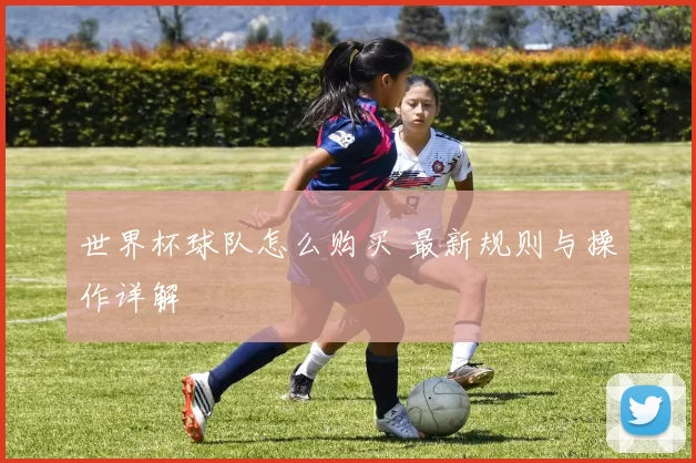 世界杯球队怎么购买 最新规则与操作详解