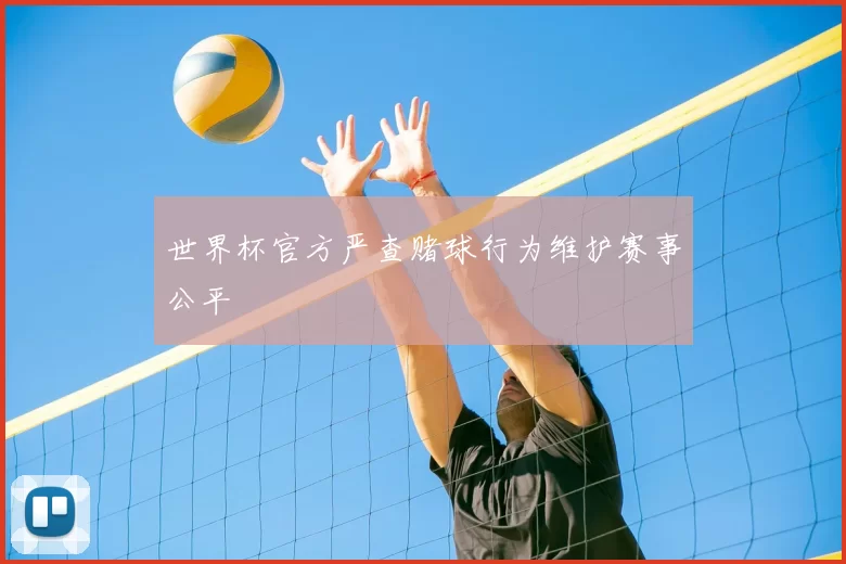 世界杯官方严查赌球行为维护赛事公平