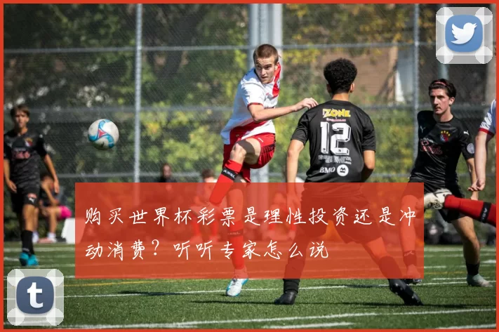 购买世界杯彩票是理性投资还是冲动消费?听听专家怎么说